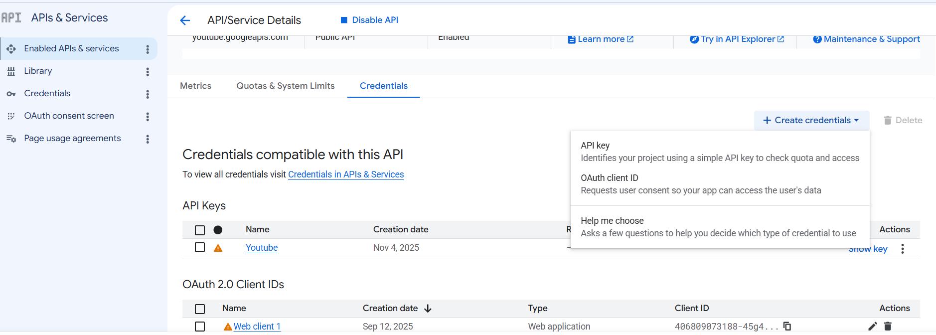 Credentials page with the API key Credentials page with the API key